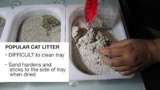 Compare the strength of clumping litter for cats  Canada Cat Litter [upl. by Hein]