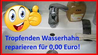 Tropfenden Wasserhahn reparieren Einhandmischer Kartusche Patrone ausbauen entkalken und fetten [upl. by Adniram]