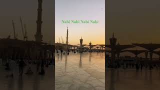 Nabi Nabi Nabi Nabi urdunaat islamicmusic sadwhatsappstatus yaadeNabi besturdunaat love YT [upl. by Sellihca]