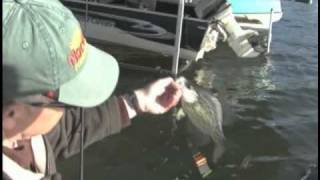 Lake Kabetogama MN Crappie Fishing [upl. by Euqinor20]