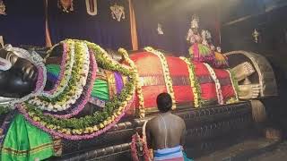 Sri Ranganatha swami temple Perumal srirangam [upl. by Ahusoj]