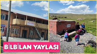 ARDANUÇ BİLBİLAN YAYLASI  ARTVİNDE GEZİLECEK YERLER  ARTVİN YAYLALARI [upl. by Tolkan]