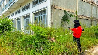 Why clean this house sidewalk The answer is inside the video  Cut overgrown CLEAN UP [upl. by Artenek]