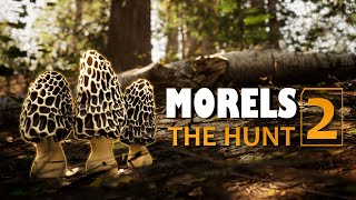 Berburu Jamur Di Alam Liar  Morels The Hunt 2 [upl. by Adamsun]