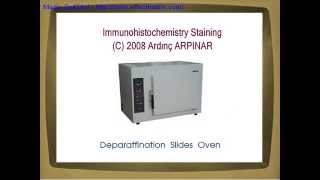 Immunohistochemistry staining steps [upl. by Annawahs]