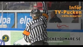 Träffa TVPuckens domare [upl. by Lj]