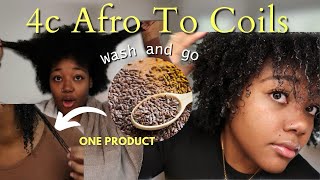 I SHOULD HAVE TRIED THIS SOONER Wash amp go on natural hair using only one product  start to finish [upl. by Spanos331]