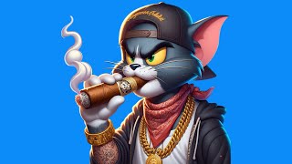 Freestyle Beat  quotFLOW TOMquot  Free Type Beat 2024  Rap Trap Beat Instrumental [upl. by Notxed933]