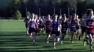 Rhinelander State Cross Country Meet Preview 11124 [upl. by Patt504]