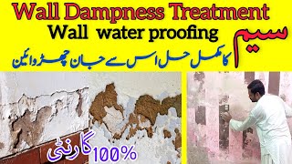 Wall Dampness Treatment  wall seepage solution  wall dampness [upl. by Nailliw]