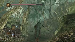 Speedrun through Shaded Woods NG7 Dark Souls 2 SotFS [upl. by Enelyak]