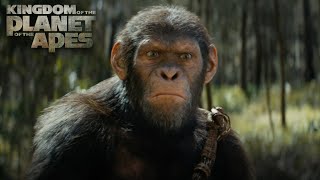 Kingdom of the Planet of the Apes  Exclusive IMAX® Trailer  In Cinemas 10 May [upl. by Mosra912]