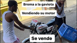 Broma a la gaviota vendiendo su motor🤣🤣 Lasocurrenciasdemistios [upl. by Hanna]