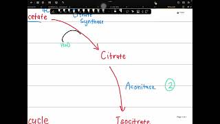 Learn TCAcycle EASY Stepbystep [upl. by Kenta949]