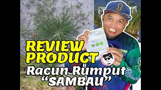 Review Racun Rumput Sambau SK Ametryn [upl. by Ahsiekan]