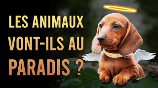 Les ANIMAUX vontils au PARADIS après la Mort [upl. by Yenoh]