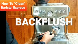 How to Backflush Breville Barista Express using CAFIZA Urnex Clean Me [upl. by Enneyehs]