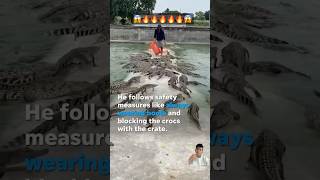 😱🔥🔥🔥 alligator wildlife crocodiles shorts entertainment viralshort [upl. by Berlin]