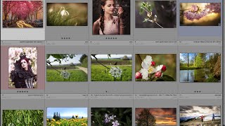 Fotografieren lernen Fotokritik Frühling [upl. by Ecinrahs]