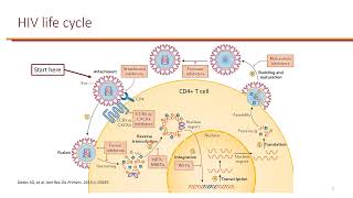 Human Immunodeficiency Virus HIV [upl. by Akeylah360]