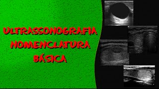 Videoaula RADIOLOGIA Nomenclatura ultrassonográfica básica [upl. by Reamonn]