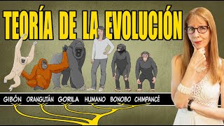 La TEORÍA de la EVOLUCIÓN explicada con claridad [upl. by Conway]