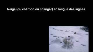 Neige charbon changer en langue des signes française [upl. by Nitsruk192]