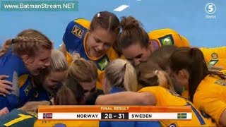 Sweden  Norway second half women handball Germany 2017 [upl. by Edan]