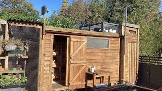 Tippler pigeon loft and kit box measurements [upl. by Brocky]