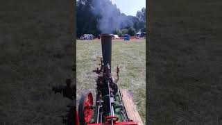 steam traction world 4 inch Burrell agricultural traction engine [upl. by Okihcim]