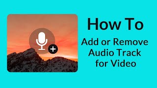 How to Add or Remove Audio Track for Your Video [upl. by Pinkham361]