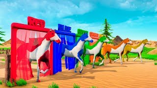 Learn Colors With Horses Animation for Children Animals Cartoon for Kids [upl. by Enitnemelc678]