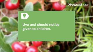 How to Use Uva Ursi [upl. by Yokum]