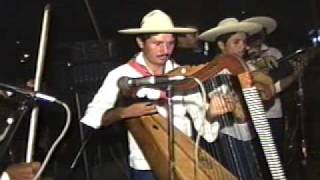 APATZINGAN JAAMS GRUPO DE ARPA GRANDE 03WMV [upl. by Nassah200]