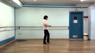 Silver Moonlight  Line Dance Teach [upl. by Singhal]