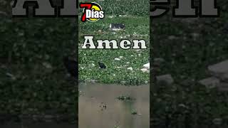 Dios todo lo puede Amen y Amen [upl. by Christoper324]