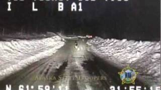 German Shepherd leads state trooper to house fire in Alaska [upl. by Amiel]