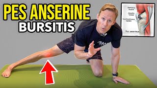 Pes Anserine Bursitis  Knee Rehab Exercises [upl. by Leopoldeen]