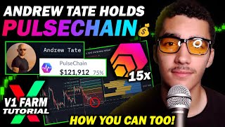 How to Make Money like Andrew Tate on PulseChain  pHEX PLSX INC PLS [upl. by Neelrac]