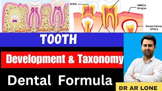 Tooth Development and Taxonomy  Growth  Types  Human Dentition  Dental FormulaBsc Zoology [upl. by Corella]