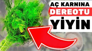 Sabah Aç Karnına 1 Adet Dereotu Yemek Vücudunuza Bunları Yapıyor  Dereotunun Faydaları Nelerdir [upl. by Pape909]