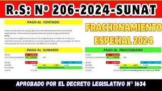 FRACCIONAMIENTO ESPECIAL  SUNAT 2024  CASO REAL DIFERENCIA ENTRE PAGO SUMARIO Y PAGO FRACCIONADO [upl. by Sobmalarah723]