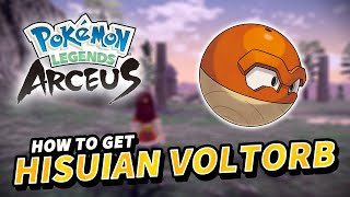 How to get HISUIAN VOLTORB Location  Pokemon Legends Arceus [upl. by Dillie645]