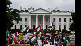 Pro Palestine Demonstration in Washington D C  Whats Going On [upl. by Hayila84]