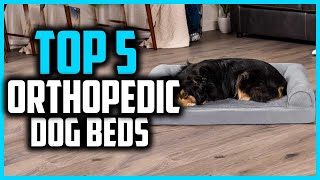 ✅Top 5 Best Orthopedic Dog Beds in 2024 [upl. by Orimar]