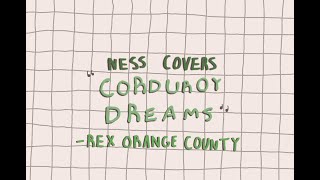 corduroy dreams  rex orange county cover [upl. by Nerra841]