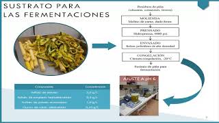 50 quotObtención de proteína unicelular de Candida utilisquot  Sr Sebastián González [upl. by Attalie552]