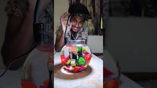 कैसा है👆 Aquarium Fish Bowl Setup 🤯😱shorts fish viralvideo trending aquarium [upl. by Pazia847]