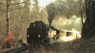 Harzer Schmalspurbahnen März 2012 [upl. by Martha582]