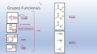 Grupos Funcionais [upl. by Fridell]
